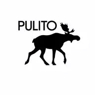 Pulito