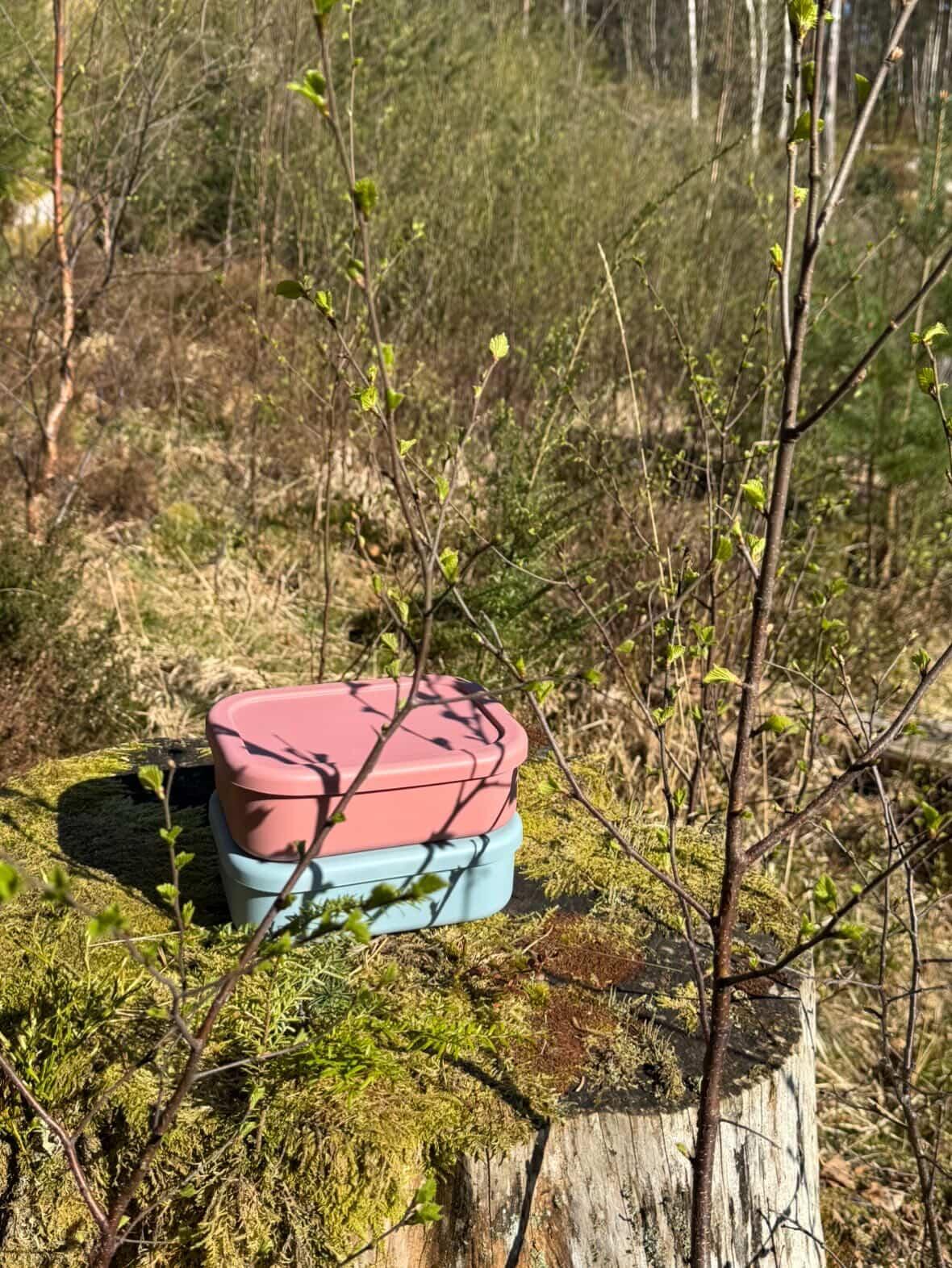 Matboks i silikon tur