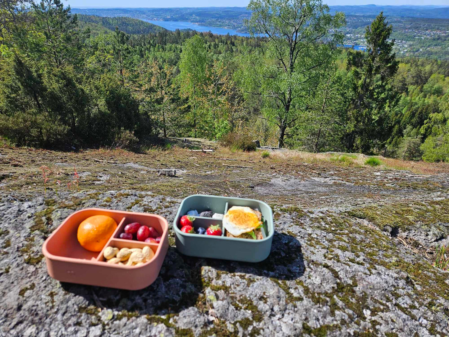 Tur matbokser silikon