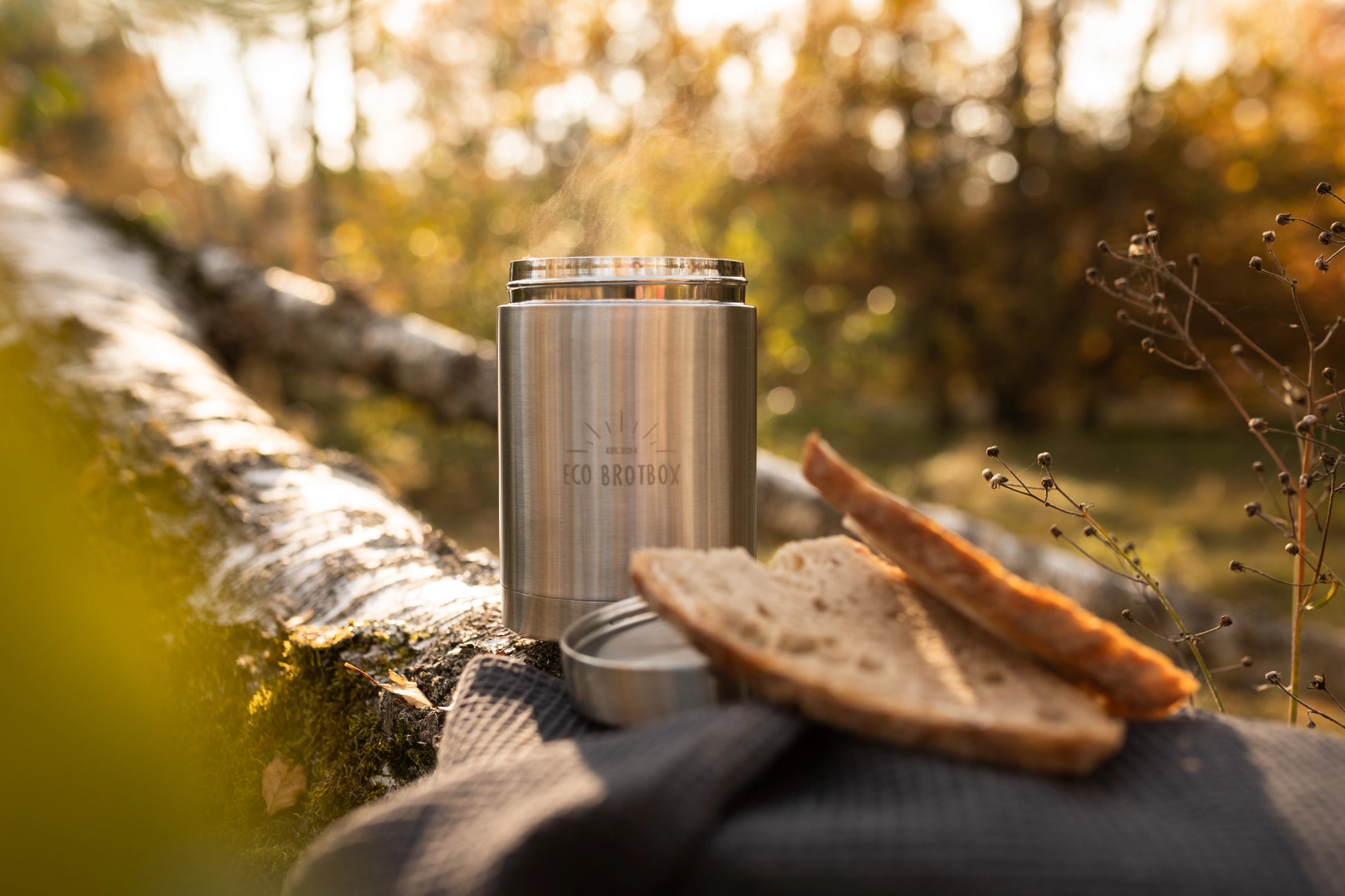 eco brotbox mattermos vinter